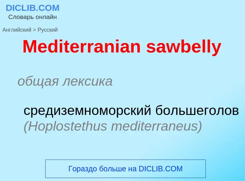 What is the Russian for Mediterranian sawbelly? Translation of &#39Mediterranian sawbelly&#39 to Rus