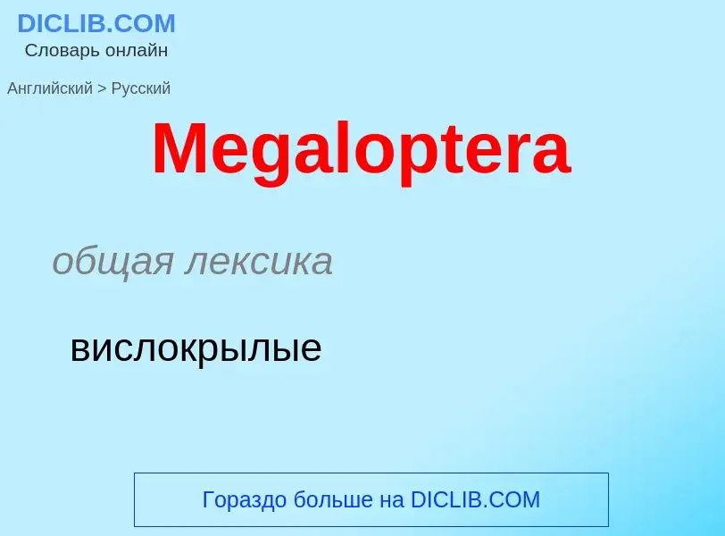 What is the Russian for Megaloptera? Translation of &#39Megaloptera&#39 to Russian