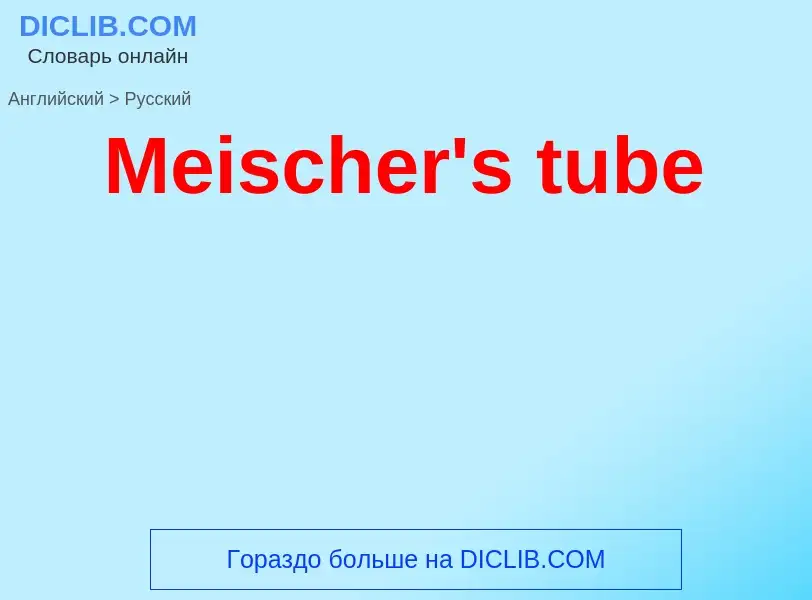 What is the Russian for Meischer's tube? Translation of &#39Meischer's tube&#39 to Russian