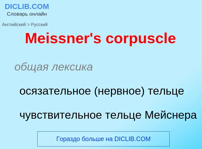 What is the Russian for Meissner's corpuscle? Translation of &#39Meissner's corpuscle&#39 to Russian