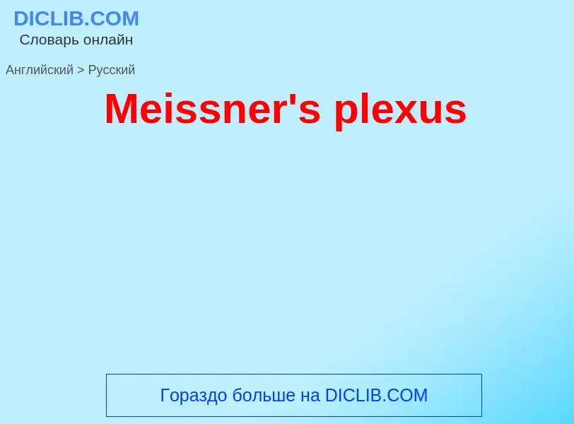 What is the Russian for Meissner's plexus? Translation of &#39Meissner's plexus&#39 to Russian