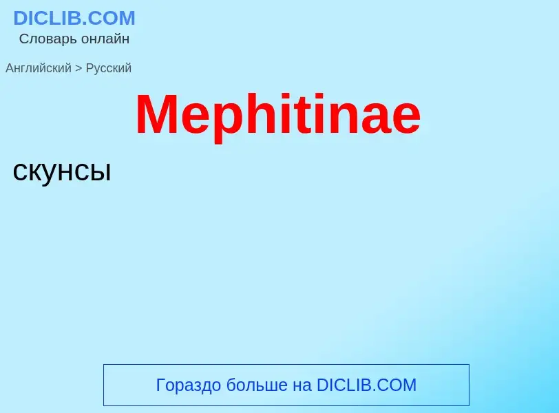 What is the Russian for Mephitinae? Translation of &#39Mephitinae&#39 to Russian