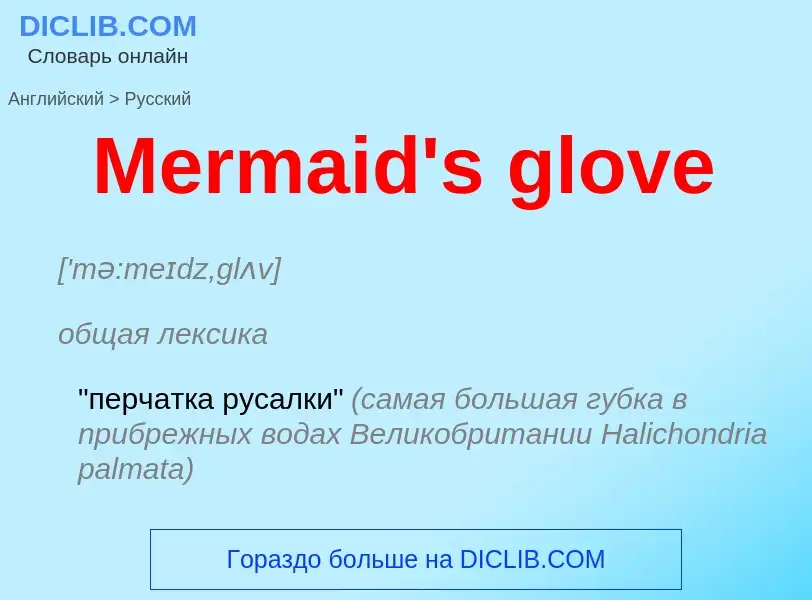 What is the Russian for Mermaid's glove? Translation of &#39Mermaid's glove&#39 to Russian