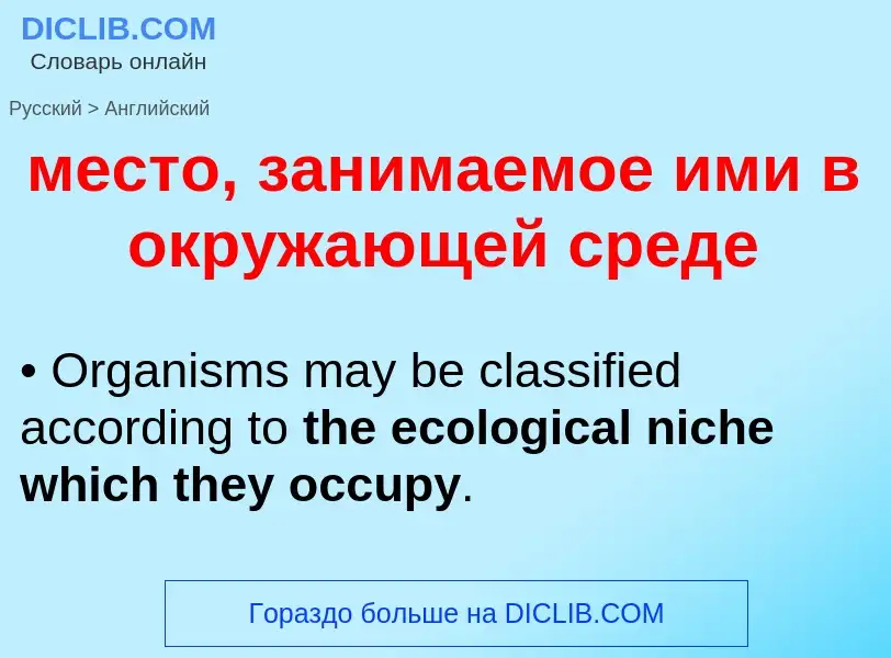 Как переводится место, занимаемое ими в окружающей среде на Английский язык