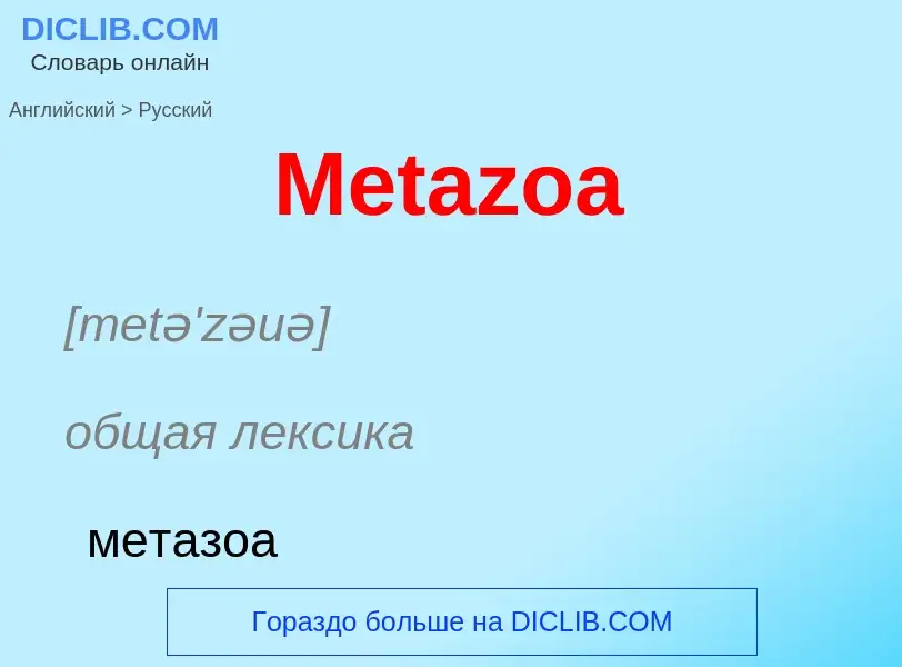 What is the Russian for Metazoa? Translation of &#39Metazoa&#39 to Russian