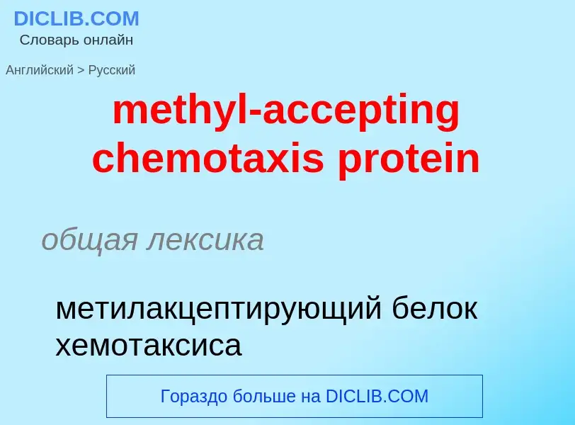 ¿Cómo se dice methyl-accepting chemotaxis protein en Ruso? Traducción de &#39methyl-accepting chemot