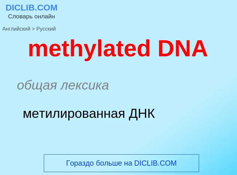 Traduzione di &#39methylated DNA&#39 in Russo