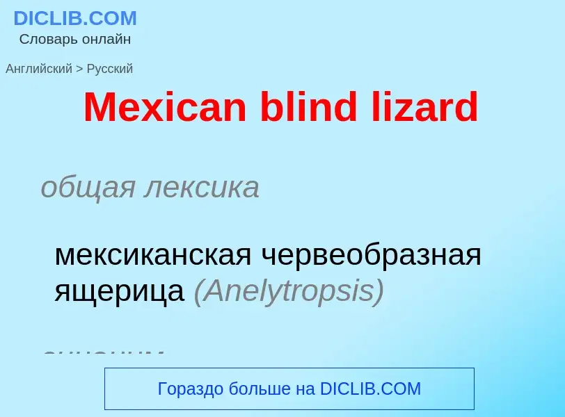 What is the Russian for Mexican blind lizard? Translation of &#39Mexican blind lizard&#39 to Russian