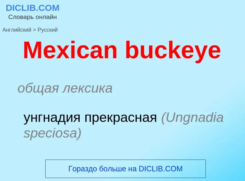 What is the Russian for Mexican buckeye? Translation of &#39Mexican buckeye&#39 to Russian