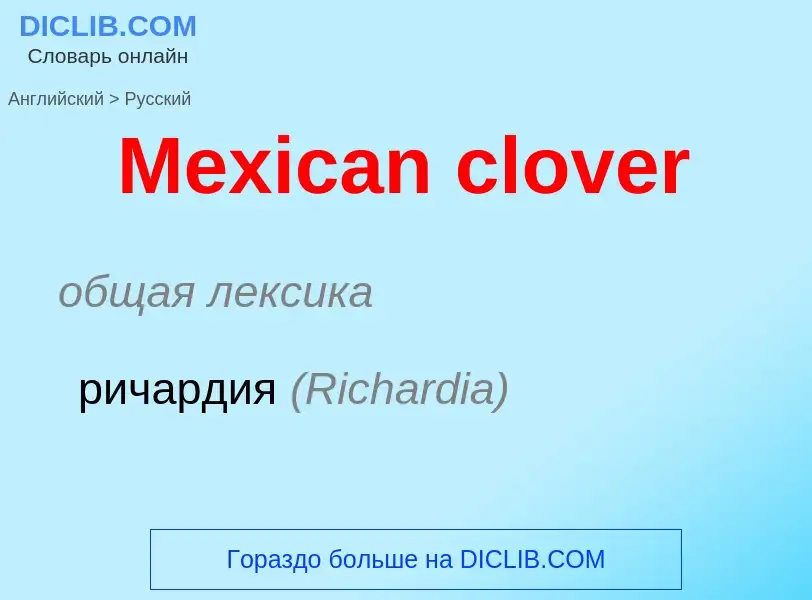 What is the Russian for Mexican clover? Translation of &#39Mexican clover&#39 to Russian