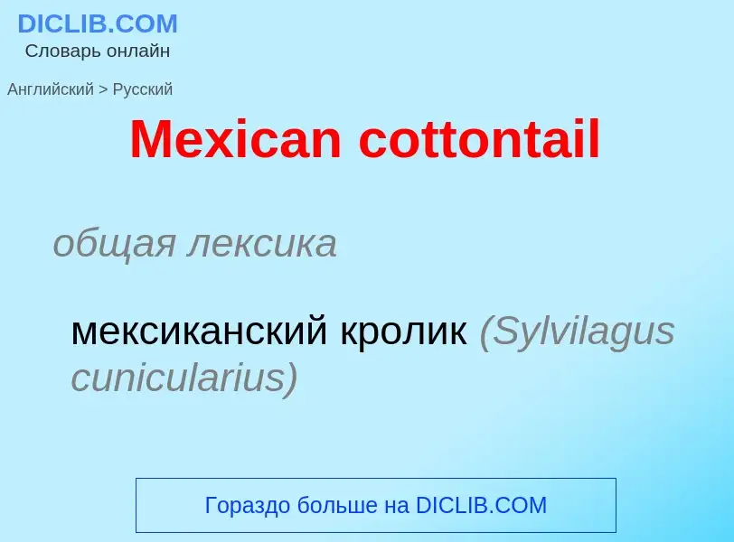 What is the Russian for Mexican cottontail? Translation of &#39Mexican cottontail&#39 to Russian