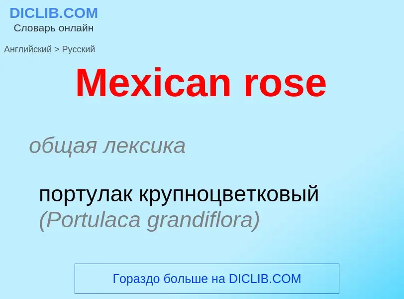 What is the Russian for Mexican rose? Translation of &#39Mexican rose&#39 to Russian