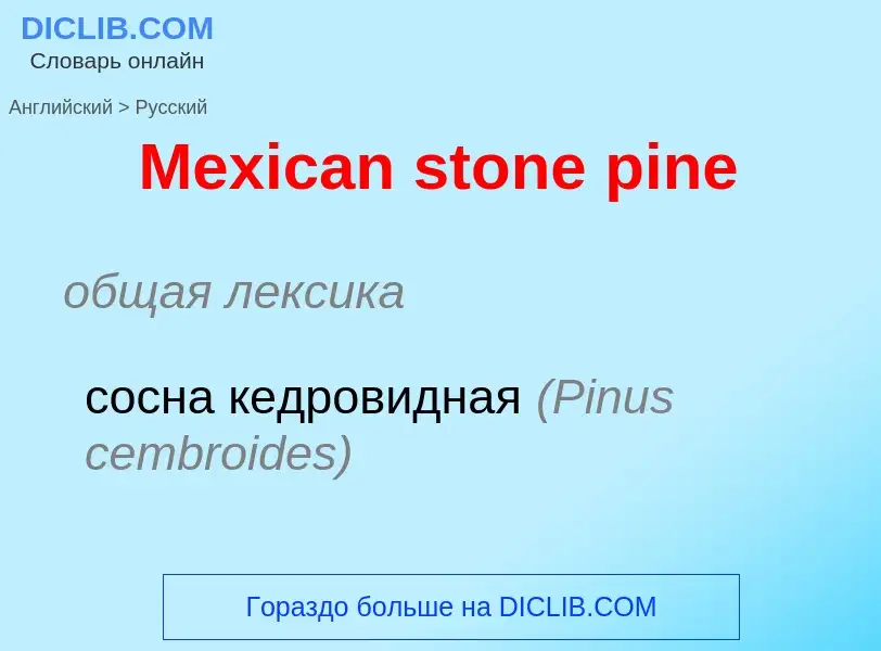 What is the Russian for Mexican stone pine? Translation of &#39Mexican stone pine&#39 to Russian