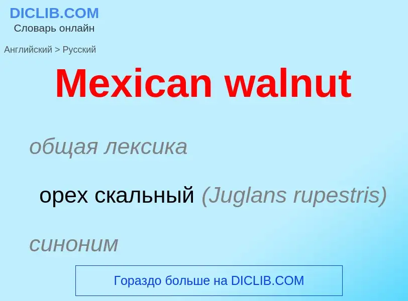 What is the Russian for Mexican walnut? Translation of &#39Mexican walnut&#39 to Russian