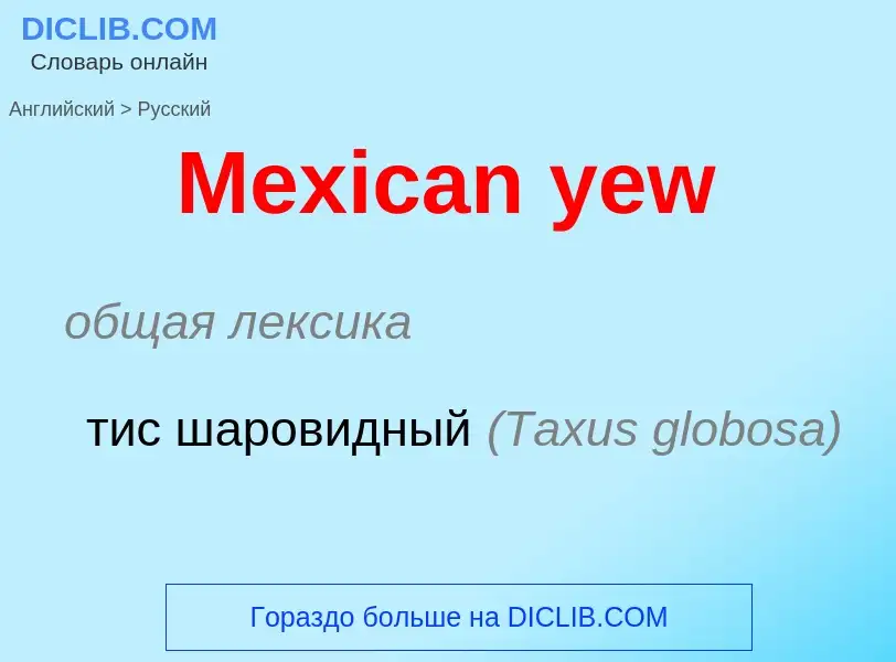 What is the Russian for Mexican yew? Translation of &#39Mexican yew&#39 to Russian