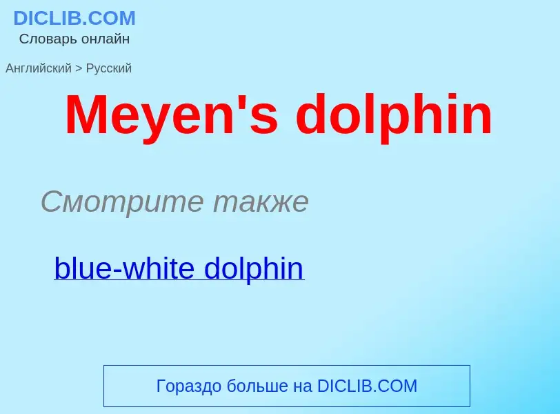 What is the Russian for Meyen's dolphin? Translation of &#39Meyen's dolphin&#39 to Russian