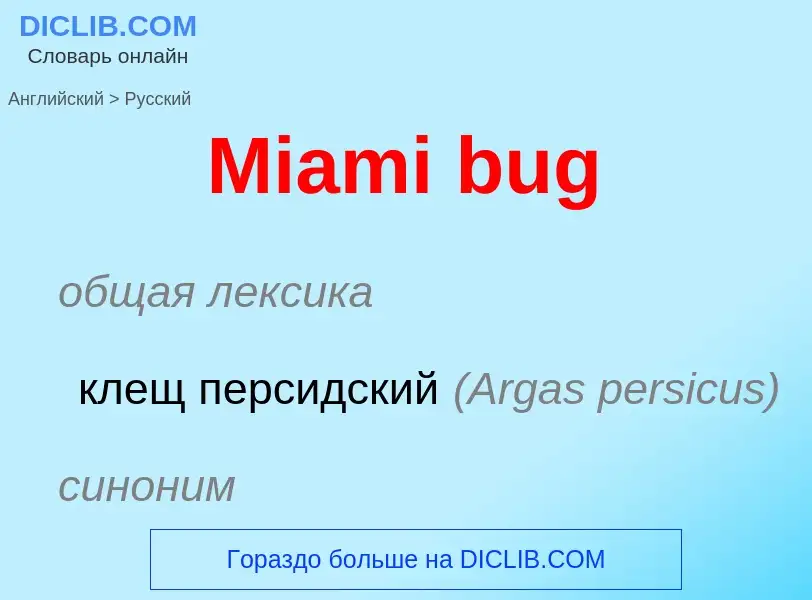 What is the Russian for Miami bug? Translation of &#39Miami bug&#39 to Russian