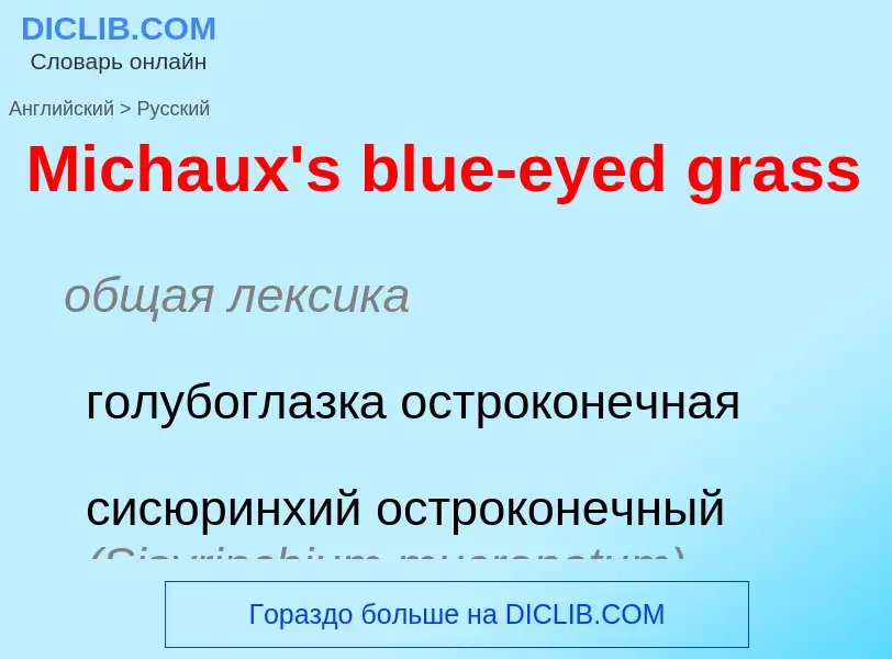 What is the Russian for Michaux's blue-eyed grass? Translation of &#39Michaux's blue-eyed grass&#39 