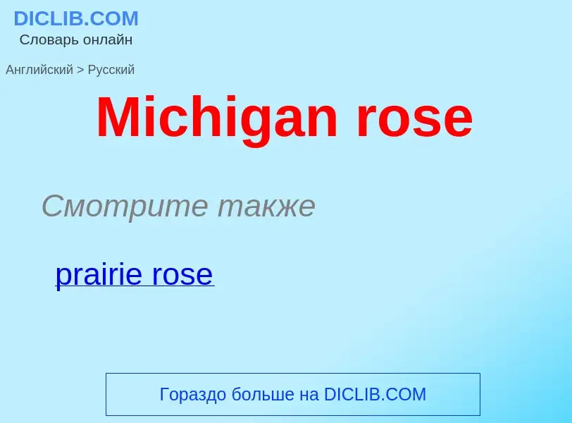 What is the Russian for Michigan rose? Translation of &#39Michigan rose&#39 to Russian