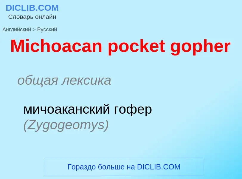 What is the Russian for Michoacan pocket gopher? Translation of &#39Michoacan pocket gopher&#39 to R