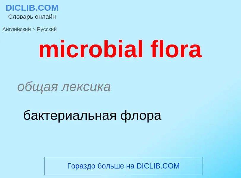 Como se diz microbial flora em Russo? Tradução de &#39microbial flora&#39 em Russo