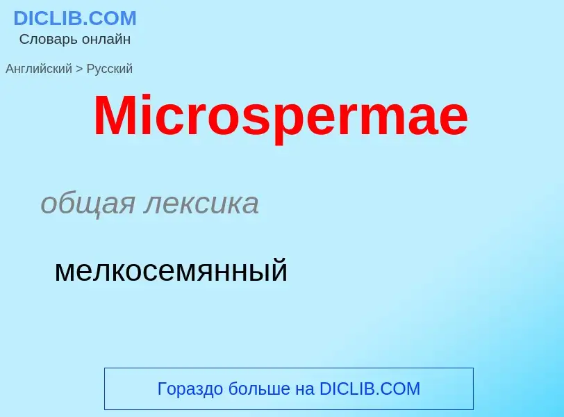 What is the Russian for Microspermae? Translation of &#39Microspermae&#39 to Russian