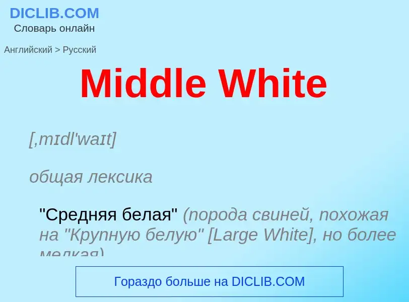 What is the Russian for Middle White? Translation of &#39Middle White&#39 to Russian