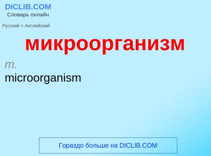 Как переводится микроорганизм на Английский язык