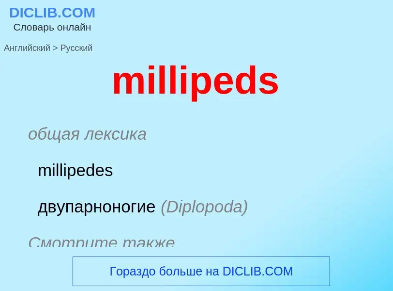 Como se diz millipeds em Russo? Tradução de &#39millipeds&#39 em Russo