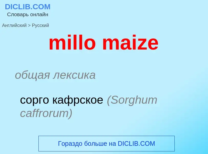 Как переводится millo maize на Русский язык