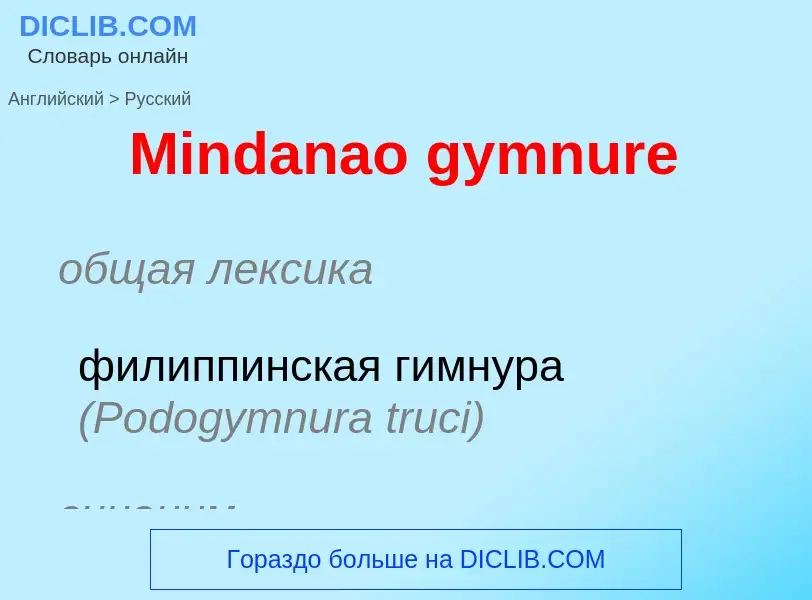 Como se diz Mindanao gymnure em Russo? Tradução de &#39Mindanao gymnure&#39 em Russo