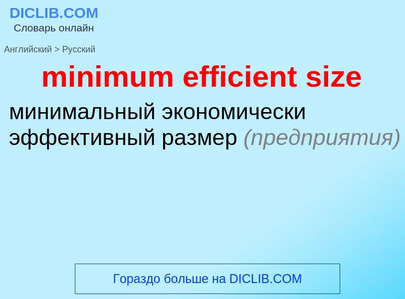 Как переводится minimum efficient size на Русский язык