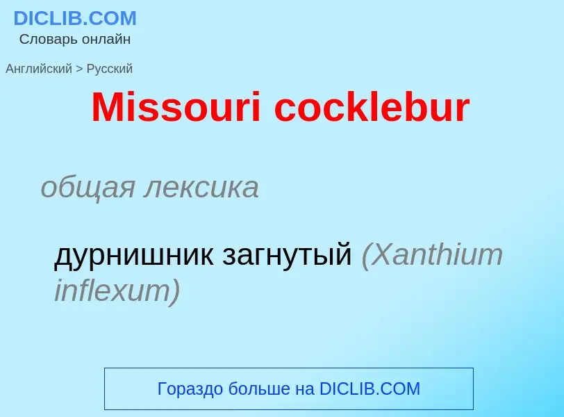 What is the Russian for Missouri cocklebur? Translation of &#39Missouri cocklebur&#39 to Russian