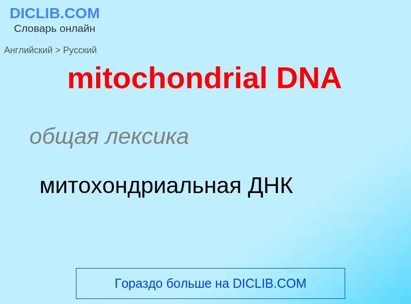 Vertaling van &#39mitochondrial DNA&#39 naar Russisch