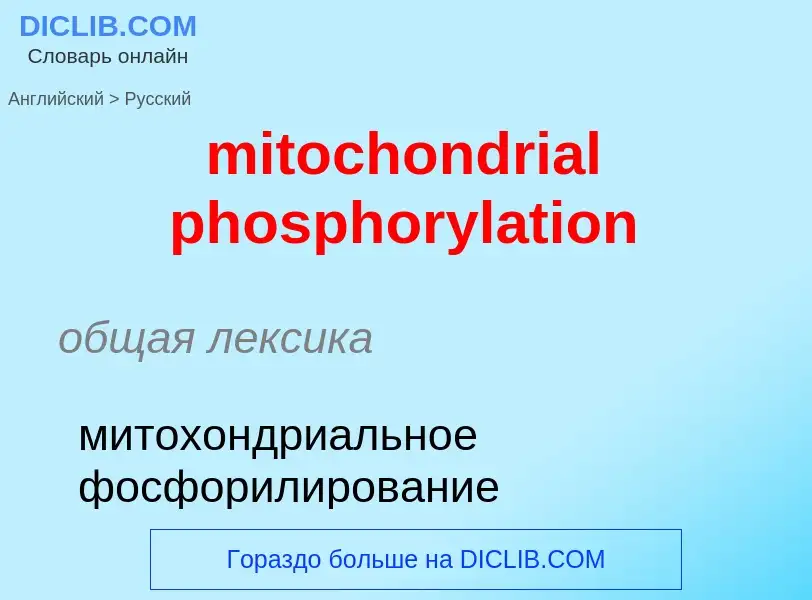 Como se diz mitochondrial phosphorylation em Russo? Tradução de &#39mitochondrial phosphorylation&#3