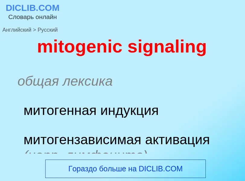 Como se diz mitogenic signaling em Russo? Tradução de &#39mitogenic signaling&#39 em Russo