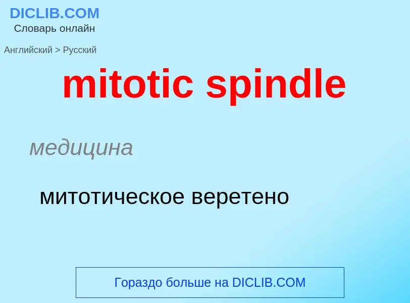 Как переводится mitotic spindle на Русский язык