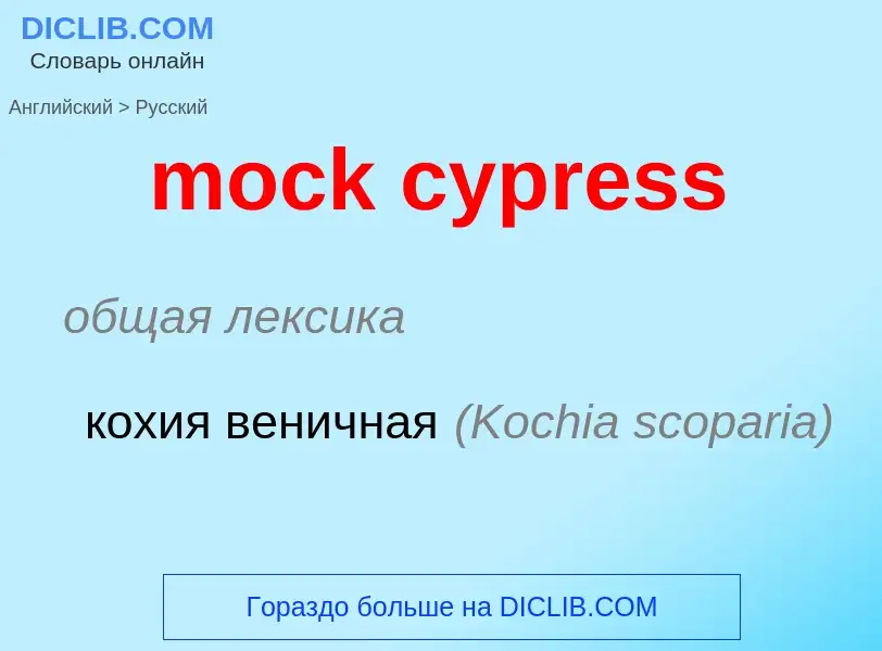 Как переводится mock cypress на Русский язык