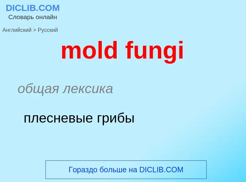 Traduction de &#39mold fungi&#39 en Russe