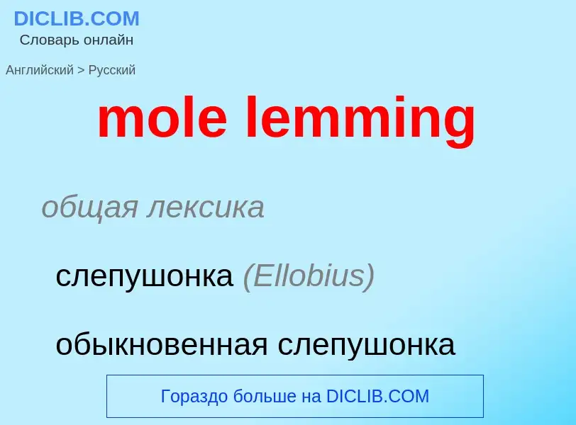 Traduzione di &#39mole lemming&#39 in Russo