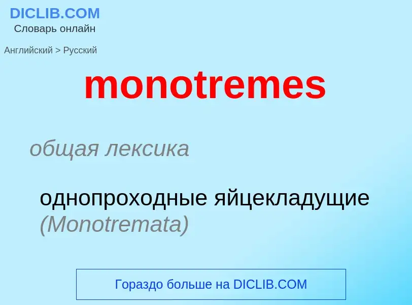 Как переводится monotremes на Русский язык