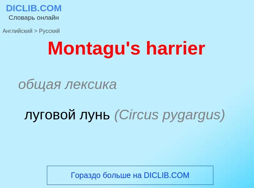 Como se diz Montagu's harrier em Russo? Tradução de &#39Montagu's harrier&#39 em Russo