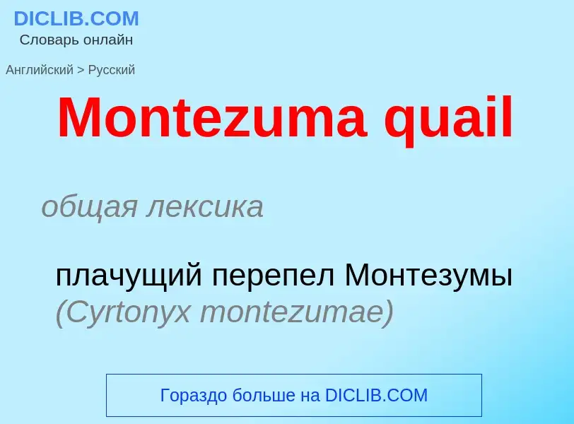 Μετάφραση του &#39Montezuma quail&#39 σε Ρωσικά