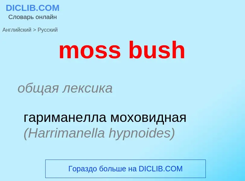 Как переводится moss bush на Русский язык