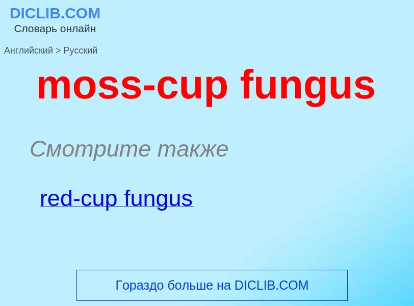 Μετάφραση του &#39moss-cup fungus&#39 σε Ρωσικά