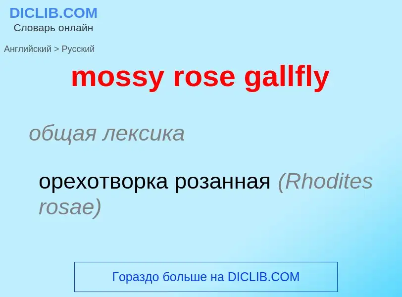 What is the Russian for mossy rose gallfly? Translation of &#39mossy rose gallfly&#39 to Russian