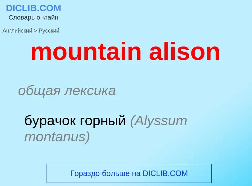 Como se diz mountain alison em Russo? Tradução de &#39mountain alison&#39 em Russo