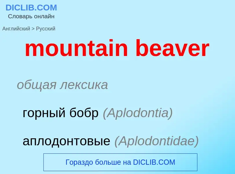 Как переводится mountain beaver на Русский язык