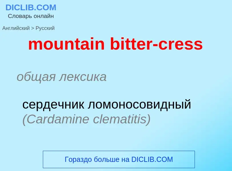 ¿Cómo se dice mountain bitter-cress en Ruso? Traducción de &#39mountain bitter-cress&#39 al Ruso