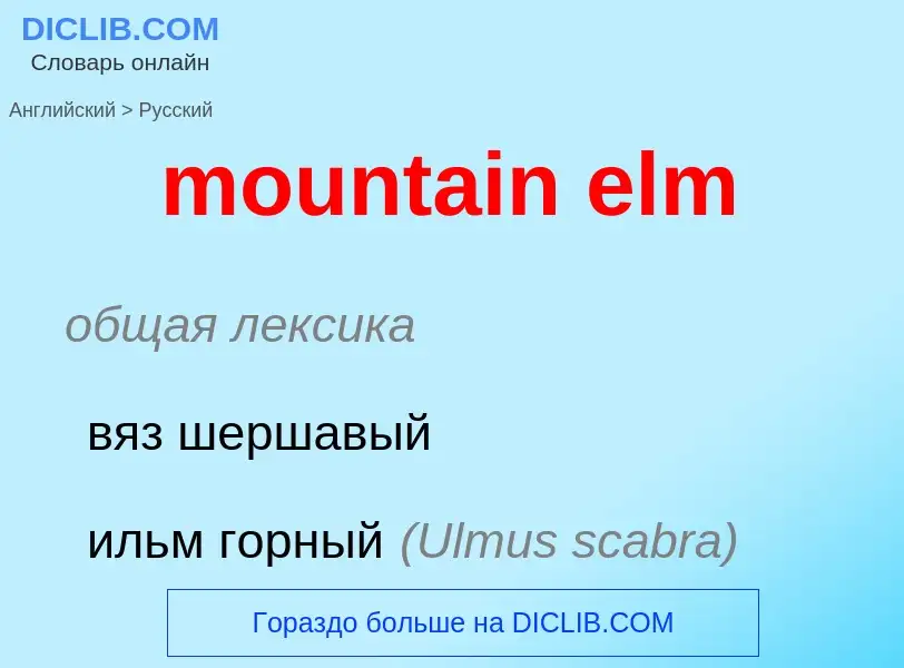 What is the Russian for mountain elm? Translation of &#39mountain elm&#39 to Russian